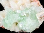 Large Zoned Apophyllite Crystal Cluster with Stilbite - India #44415-1